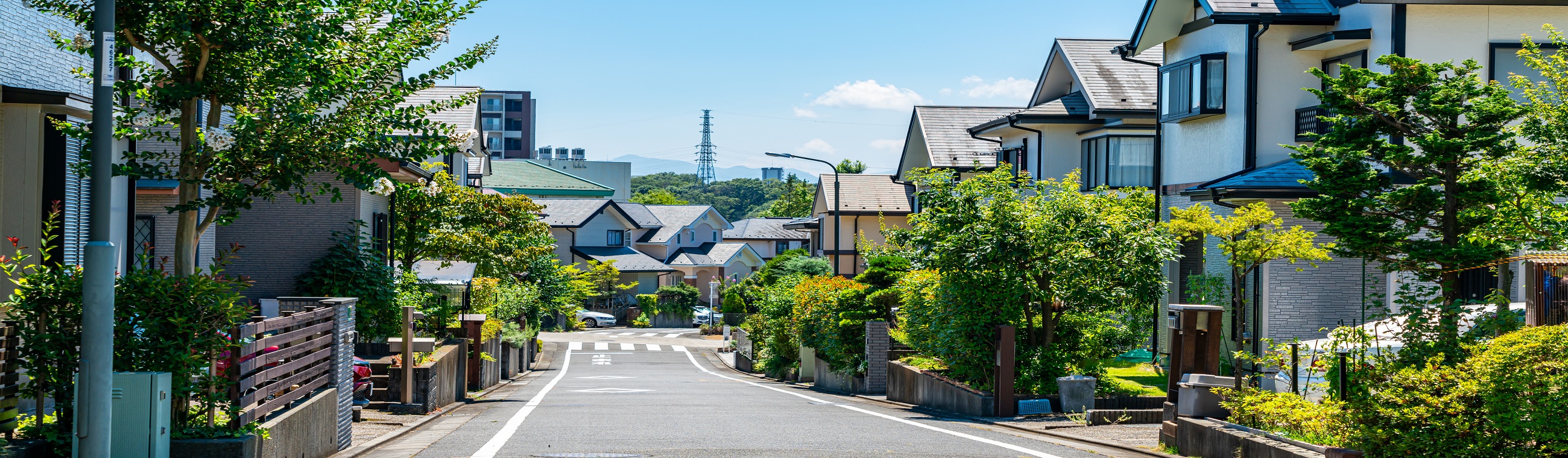 main visual